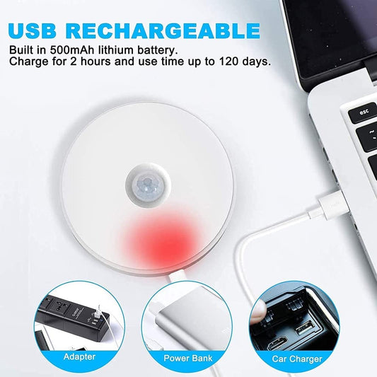 motion sensor light
